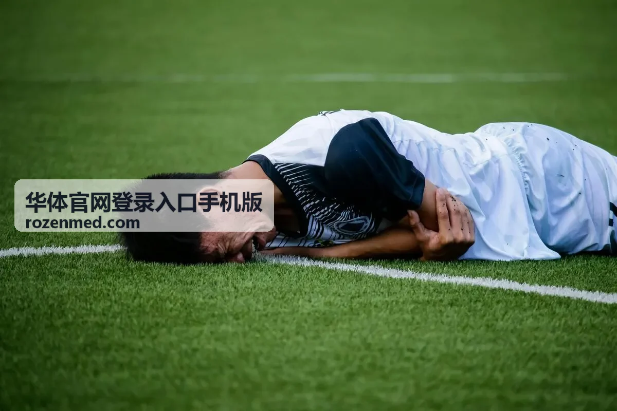 华体官网登录入口手机版排球赛事直播封面